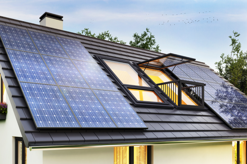 Pioneering Sustainable Living Comparing Renewable Options